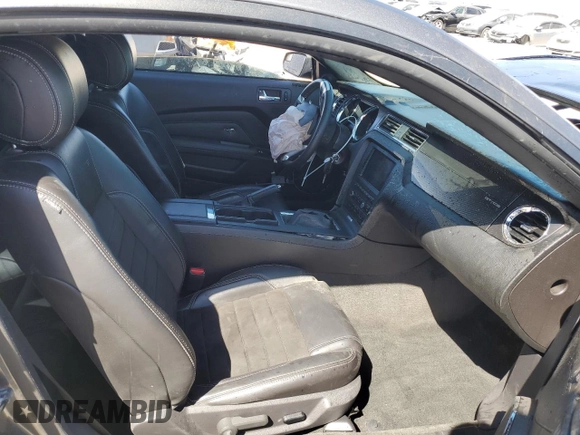 2013 Ford Mustang GT with VIN 1ZVBP8CF3D5246615, listed as a Copart auction lot 53124855 with Not provided miles and Salvage title. Bid and sale history available at DreamBid. Image 10.
