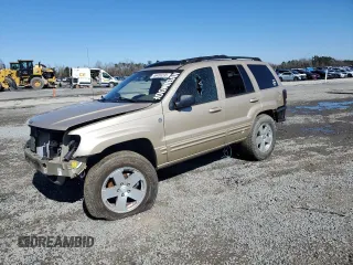 1999 Jeep Grand Cherokee Limited with VIN 1J4GW68N3XC747496, listed as a Copart auction lot 46459235 with 0 mi miles and Salvage Title. Bid and sale history available at carsss.com. Image 1.