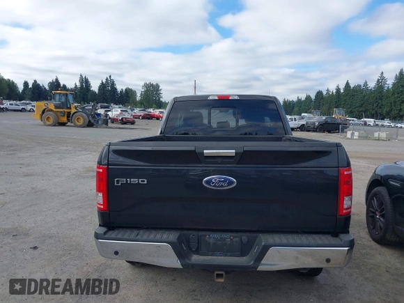 2016 Ford F-150 XLT z VIN 1FTEX1EP2GFB44234, wystawiony jako IAAI lot #42171327 z przebiegiem 221 397 mil mil oraz . Historia ofert i sprzedaży dostępna na DreamBid. Obrazek 16.