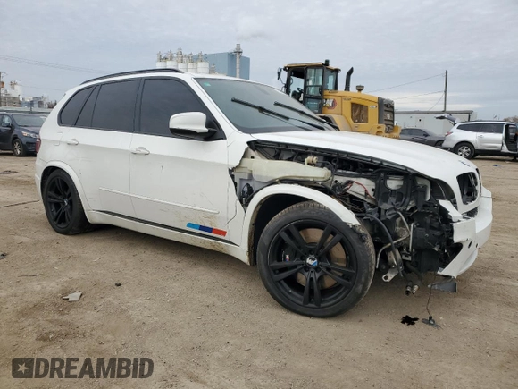 2010 BMW X5 M with VIN 5YMGY0C55ALK25665, listed as a Copart auction lot 82820384 with 118,956 mi miles and Salvage Title. Bid and sale history available at carsss.com. Image 4.