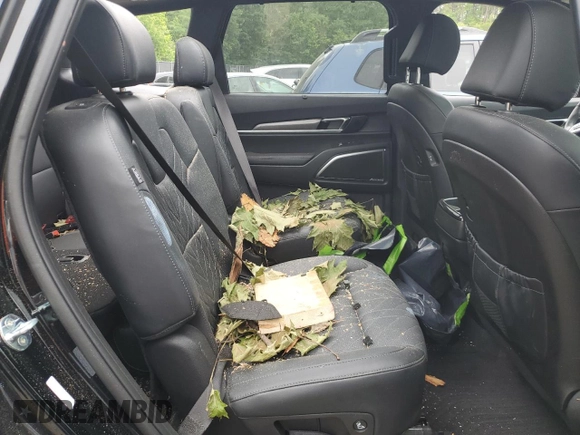 2024 Kia Telluride SX X-Line with VIN 5XYP5DGC1RG494352, listed as a Copart auction lot 58260515 with 25,538 mi miles and Salvage title. Bid and sale history available at DreamBid. Image 11.