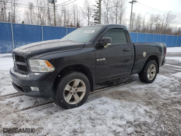 2010 Dodge Ram 1500 Sport with VIN 3D7JV1ET7AG191773, listed as a Copart auction lot 88044685 with 196,202 mi miles and Salvage Title. Bid and sale history available at carsss.com. Image 1.