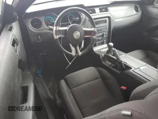 2013 Ford Mustang GT with VIN 1ZVBP8CF7D5242292, listed as a Copart auction lot 50411825 with 35,821 mi miles and Clean Title. Bid and sale history available at carsss.com. Image 8.