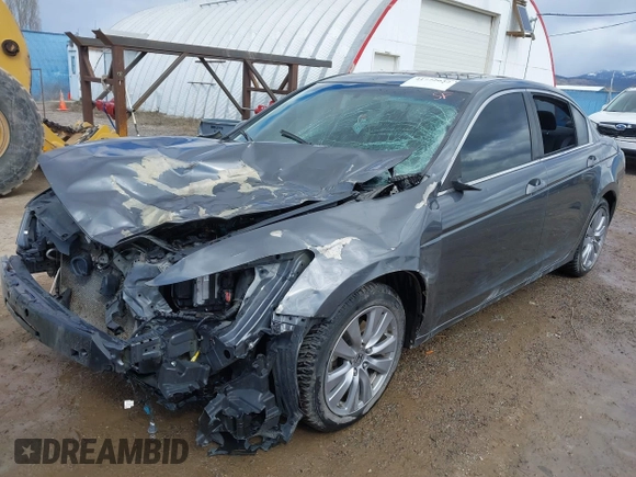 2011 Honda Accord EX with VIN 1HGCP2F79BA137543, listed as a IAAI auction lot 41772032 with 111,296 mi miles and . Bid and sale history available at DreamBid. Image 2.