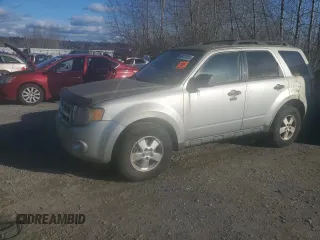 2011 Ford Escape XLT with VIN 1FMCU9DG5BKA23340, listed as a Copart auction lot 48407085 with 165,871 mi miles and Clean Title. Bid and sale history available at carsss.com. Image 1.