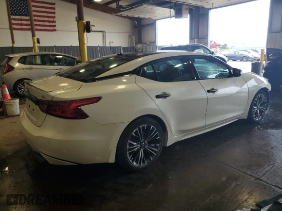 2017 Nissan Maxima SV with VIN 1N4AA6AP9HC394789, listed as a Copart auction lot 61909625 with 102,164 mi miles and Salvage title. Bid and sale history available at DreamBid. Image 3.