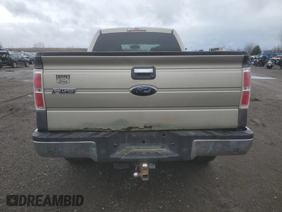 2009 Ford F-150 XL with VIN 1FTRW14869FA71127, listed as a Copart auction lot 81552544 with Not provided miles and Salvage title. Bid and sale history available at DreamBid. Image 6.