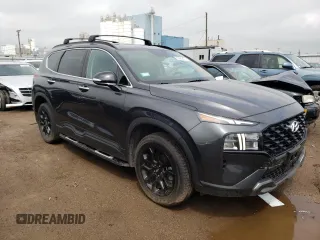 2022 Hyundai Santa Fe XRT with VIN 5NMS6DAJ6NH440494, listed as a Copart auction lot 53982874 with 45,865 mi miles and Salvage Title. Bid and sale history available at carsss.com. Image 4.
