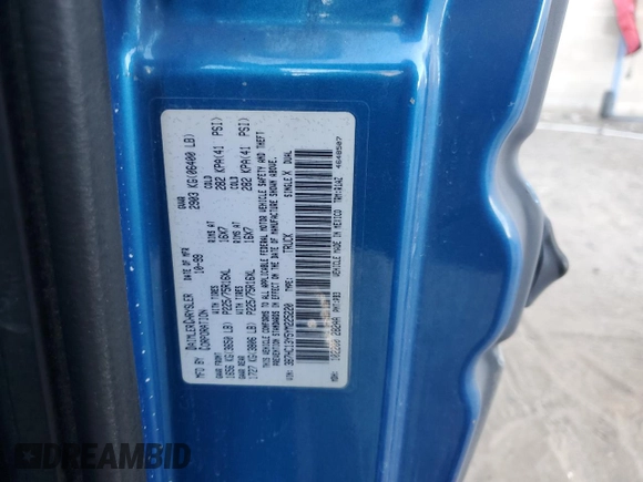 2000 Dodge 1500 z VIN 3B7HC13Y5YM225220, wystawiony jako Copart lot #56602475 z przebiegiem 178 267 mil mil oraz Szkoda całkowita • Salvage title. Historia ofert i sprzedaży dostępna na DreamBid. Obrazek 12.
