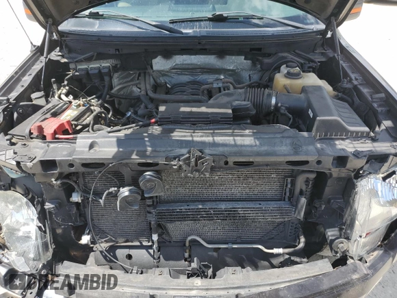 2013 Ford F-150 XL with VIN 1FTFW1EF1DFB70494, listed as a Copart auction lot 61549945 with 124,216 mi miles and Salvage title. Bid and sale history available at DreamBid. Image 11.