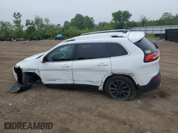 2016 Jeep Cherokee Limited with VIN 1C4PJMDB9GW244574, listed as a Copart auction lot 59346415 with 140,305 mi miles and Salvage title. Bid and sale history available at DreamBid. Image 2.