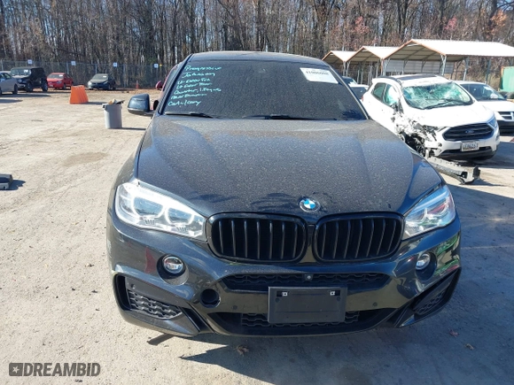 2019 BMW X6 xDrive35i with VIN 5UXKU2C50K0Z62820, listed as a IAAI auction lot 41006008 with 79,104 mi miles. Bid and sale history available at carsss.com. Image 12.