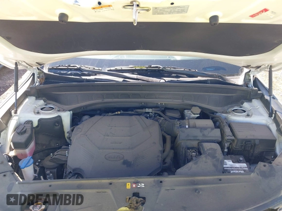 2021 Kia Telluride S with VIN 5XYP64HC1MG190118, listed as a IAAI auction lot 42078715 with 83,405 mi miles and . Bid and sale history available at DreamBid. Image 10.