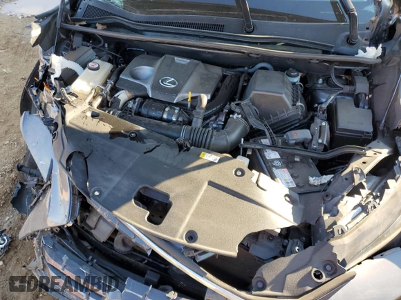 2020 Lexus NX with VIN JTJDARBZ2L5016106, listed as a Copart auction lot 83075854 with 79,247 mi miles and Salvage Title. Bid and sale history available at carsss.com. Image 13.