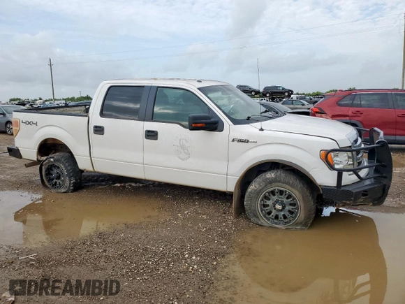 2013 Ford F-150 XL with VIN 1FTFW1EF8DFA45783, listed as a Copart auction lot 64494215 with 194,441 mi miles and Clean title. Bid and sale history available at DreamBid. Image 4.