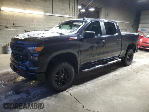 2022 Chevrolet Silverado 1500 Custom Trail Boss with VIN 3GCPDCED9NG673954, listed as a Copart auction lot 84696954 with 31,744 mi miles and Salvage Title. Bid and sale history available at DreamBid. Image 1.