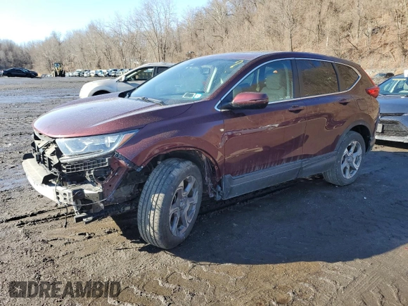 2019 Honda CR-V EX-L with VIN 7FARW2H89KE025788, listed as a Copart auction lot 46283485 with 49,012 mi miles and Salvage Title. Bid and sale history available at carsss.com. Image 1.