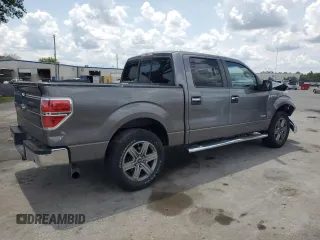 2014 Ford F-150 XL with VIN 1FTFW1CTXEKF32078, listed as a Copart auction lot 55669135 with 144,521 mi miles and Salvage title. Bid and sale history available at DreamBid. Image 3.