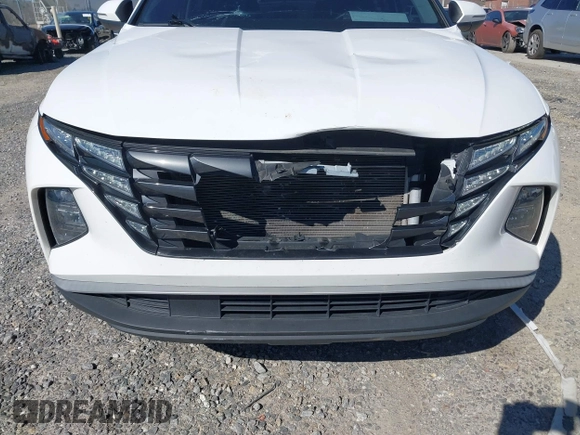 2023 Hyundai Tucson SEL with VIN 5NMJFCAE3PH261633, listed as a IAAI auction lot 41795265 with 39,374 mi miles and . Bid and sale history available at DreamBid. Image 6.