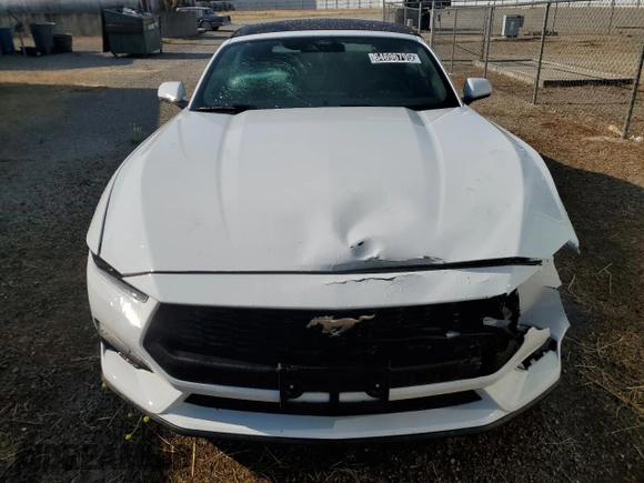 2025 Ford Mustang EcoBoost with VIN 1FAGP8UH5S5117335, listed as a Copart auction lot 64696795 with 4,015 mi miles and Clean title. Bid and sale history available at DreamBid. Image 5.
