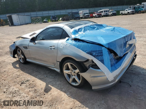 2014 Mercedes-Benz SLK 250 with VIN WDDPK4HA6EF077432, listed as a Copart auction lot 58894045 with 112,551 mi miles and Salvage title. Bid and sale history available at DreamBid. Image 2.