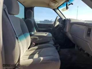 2006 Chevrolet Silverado 1500 LS with VIN 1GCEC14V36Z302296, listed as a Copart auction lot 43578885 with 206,902 mi miles and Salvage Title. Bid and sale history available at carsss.com. Image 10.