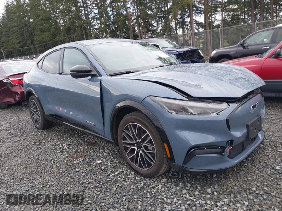 2024 Ford Mustang Mach-E Premium with VIN 3FMTK3R73RMA35680, listed as a IAAI auction lot 41895604 with 1,298 mi miles and . Bid and sale history available at DreamBid. Image 1.