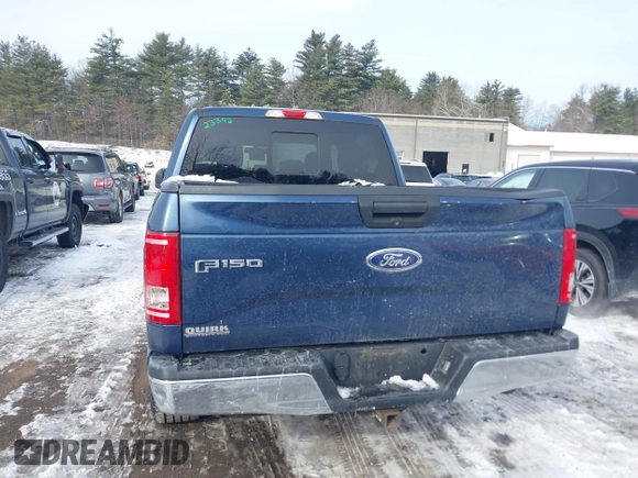 2016 Ford F-150 XLT with VIN 1FTEW1EP9GFD46412, listed as a IAAI auction lot 41539920 with 163,139 mi miles. Bid and sale history available at carsss.com. Image 16.