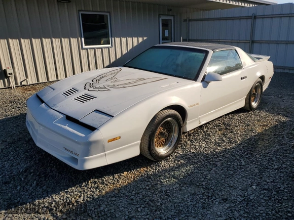 1988 Pontiac Firebird z VIN 1G2FW2183JL204840, wystawiony jako Copart lot #69142254 z przebiegiem 62 529 mil mil oraz Czysty tytuł • Clean title. Historia ofert i sprzedaży dostępna na DreamBid. Obrazek 1.
