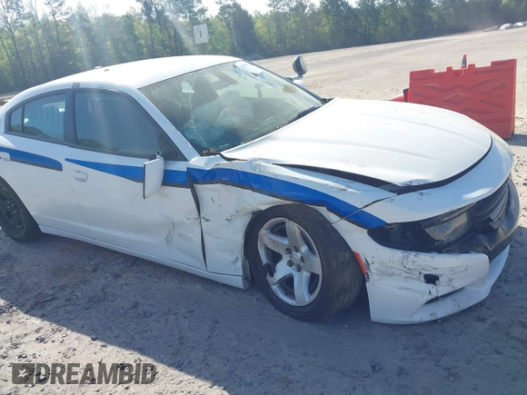 2019 Dodge Charger Police with VIN 2C3CDXAT3KH599711, listed as a IAAI auction lot 41906214 with 80,462 mi miles and . Bid and sale history available at DreamBid. Image 6.