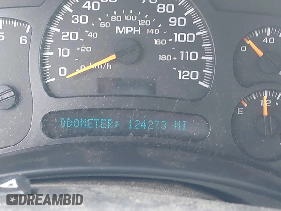 2005 Chevrolet Silverado 1500 LS with VIN 2GCEC19T351374467, listed as a IAAI auction lot 42383053 with 124,273 mi miles and . Bid and sale history available at DreamBid. Image 7.