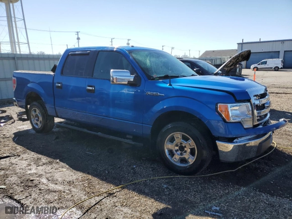 2013 Ford F-150 XL with VIN 1FTEW1CM4DFC15215, listed as a Copart auction lot 48983375 with 205,081 mi miles and Salvage Title. Bid and sale history available at carsss.com. Image 4.