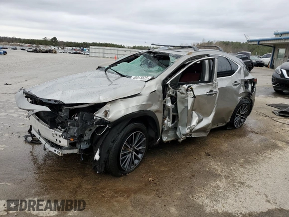 2025 Lexus NX 350h Premium with VIN 2T2GKCEZ1SC047415, listed as a Copart auction lot 48013825 with 697 mi miles and Non repairable. Bid and sale history available at DreamBid. Image 1.