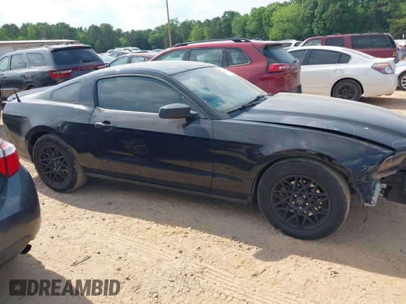 2013 Ford Mustang V6 with VIN 1ZVBP8AM4D5243305, listed as a IAAI auction lot 42162203 with 141,196 mi miles and . Bid and sale history available at DreamBid. Image 12.