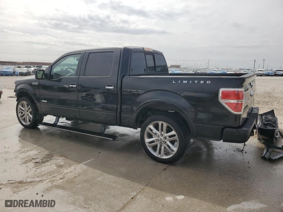 2013 Ford F-150 XL with VIN 1FTFW1CT4DFB36445, listed as a Copart auction lot 48150415 with 317,694 mi miles and Salvage Title. Bid and sale history available at carsss.com. Image 2.