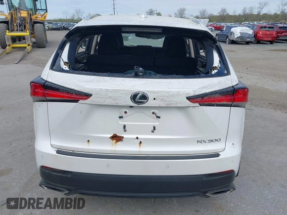 2018 Lexus NX 300 z VIN JTJBARBZXJ2154661, wystawiony jako IAAI lot #42018090 z przebiegiem Nie podano mil oraz . Historia ofert i sprzedaży dostępna na DreamBid. Obrazek 15.