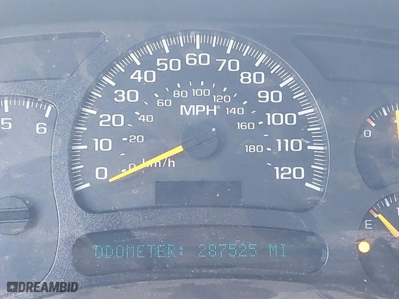 2005 Chevrolet Silverado 1500 LS with VIN 2GCEC19V351281059, listed as a IAAI auction lot 41590032 with 287,525 mi miles. Bid and sale history available at carsss.com. Image 7.