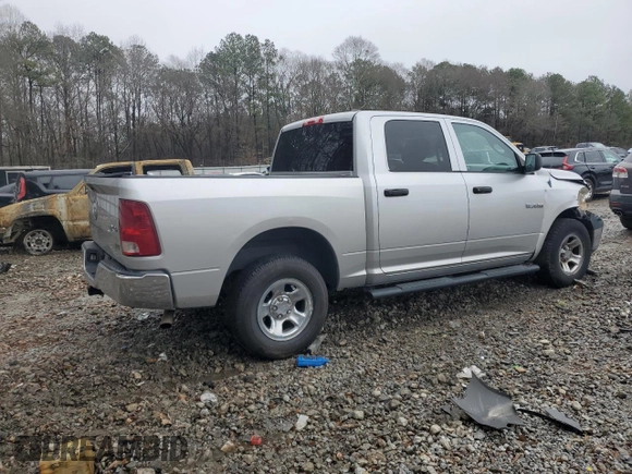 2010 Dodge 1500 SLT with VIN 1D7RV1CP0AS199361, listed as a Copart auction lot 42405435 with 209,644 mi miles and Salvage Title. Bid and sale history available at DreamBid. Image 3.