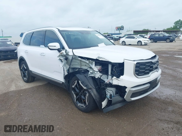 2024 Kia Telluride S with VIN 5XYP64GC2RG515044, listed as a IAAI auction lot 42345367 with 7,981 mi miles and . Bid and sale history available at DreamBid. Image 6.