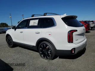 2024 Kia Telluride SX with VIN 5XYP54GC0RG552256, listed as a Copart auction lot 81033874 with Not provided miles and Salvage title. Bid and sale history available at DreamBid. Image 2.