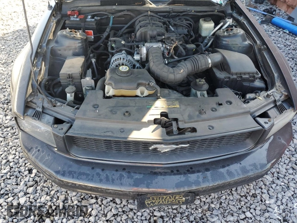 2007 Ford Mustang Deluxe with VIN 1ZVFT80N675333924, listed as a Copart auction lot 48516165 with 169,279 mi miles and Salvage Title. Bid and sale history available at carsss.com. Image 11.