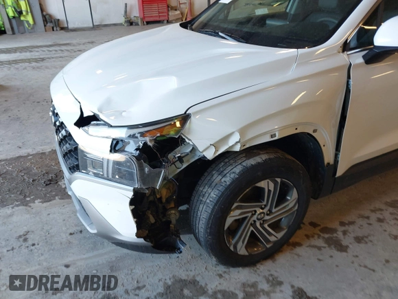 2023 Hyundai Santa Fe SE с VIN 5NMS1DAJ1PH617129, выставлен на аукционе IAAI как лот 41847525 с пробегом 40 036 миль миль и . История ставок и продаж доступна на DreamBid. Изображение 6.