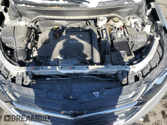 2019 Chevrolet Equinox LS with VIN 3GNAXSEV9KS677115, listed as a Copart auction lot 45584845 with 72,667 mi miles and Salvage Title. Bid and sale history available at DreamBid. Image 12.