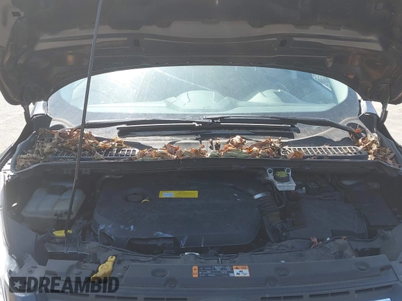 2016 Ford Escape SE with VIN 1FMCU9GX6GUB25849, listed as a IAAI auction lot 42087346 with 189,909 mi miles. Bid and sale history available at carsss.com. Image 10.