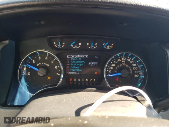 2014 Ford F-150 XL with VIN 1FTEW1CMXEFA90254, listed as a Copart auction lot 61789495 with 126,489 mi miles and Salvage title. Bid and sale history available at DreamBid. Image 9.