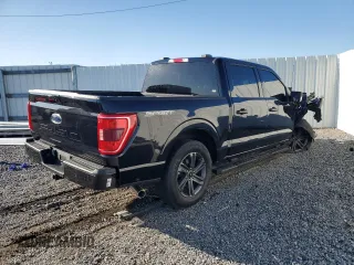 2023 Ford F-150 XL with VIN 1FTEW1C53PFB83581, listed as a Copart auction lot 53028665 with Not Provided miles and Non Repairable. Bid and sale history available at carsss.com. Image 3.