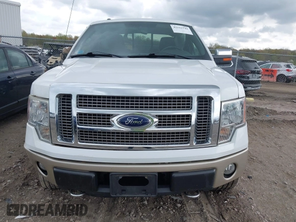 2009 Ford F-150 XL with VIN 1FTPX14V19FB38811, listed as a IAAI auction lot 42112741 with 86,696 mi miles. Bid and sale history available at carsss.com. Image 12.