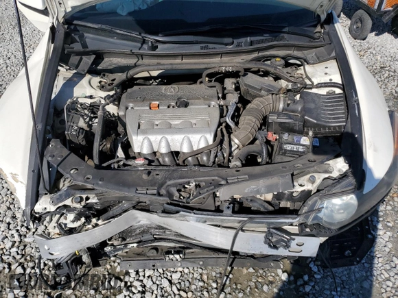 2010 Acura TSX with VIN JH4CU2F69AC005317, listed as a Copart auction lot 48980225 with 161,826 mi miles and Salvage Title. Bid and sale history available at carsss.com. Image 11.