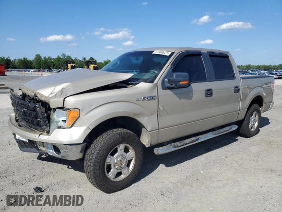 2010 Ford F-150 XL with VIN 1FTFW1EV7AFB20105, listed as a Copart auction lot 57966625 with 306,781 mi miles and Salvage title. Bid and sale history available at DreamBid. Image 1.