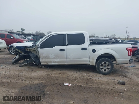 2017 Ford F-150 XL with VIN 1FTEW1CG7HKD00461, listed as a IAAI auction lot 41645214 with Not provided miles and . Bid and sale history available at DreamBid. Image 13.